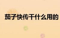 茄子快传干什么用的（如何使用茄子快传）