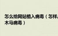 怎么给网站植入病毒（怎样从网络上下载网站而免疫广告和木马病毒）