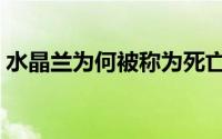 水晶兰为何被称为死亡之花（水晶兰怎么养）