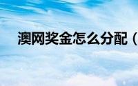 澳网奖金怎么分配（澳网奖金怎么分配）