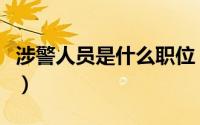 涉警人员是什么职位（涉警人员是什么意思啊）