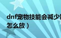 dnf宠物技能会减少饱食度吗（dnf宠物技能怎么放）