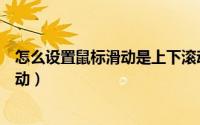 怎么设置鼠标滑动是上下滚动（鼠标在哪里可以设置水平滚动）