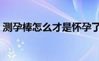 测孕棒怎么才是怀孕了（测孕棒怎么看图解）