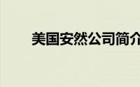美国安然公司简介（美国安然公司）