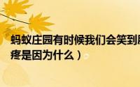 蚂蚁庄园有时候我们会笑到肚子疼（蚂蚁庄园问题笑到肚子疼是因为什么）