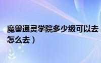 魔兽通灵学院多少级可以去（魔兽世界路线图——通灵学院怎么去）