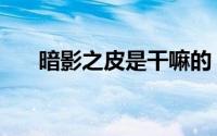 暗影之皮是干嘛的（暗影之皮哪里出）