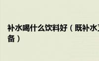补水喝什么饮料好（既补水又排毒还好喝的饮料女生夏日必备）