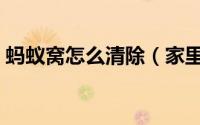 蚂蚁窝怎么清除（家里蚂蚁窝如何彻底清除）