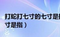 打蛇打七寸的七寸是指哪里（打蛇打七寸的七寸是指）