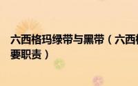 六西格玛绿带与黑带（六西格玛黑带大师、黑带和绿带的主要职责）