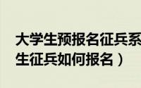 大学生预报名征兵系统（2019年度全国大学生征兵如何报名）