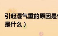 引起湿气重的原因是什么（引起湿气重的原因是什么）