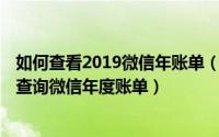如何查看2019微信年账单（2019微信年度账单怎么看 怎么查询微信年度账单）