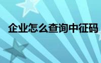 企业怎么查询中征码（企业中征码怎么查）