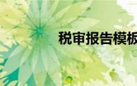 税审报告模板（税审报告）