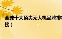 全球十大顶尖无人机品牌排行榜（全球十大顶尖无人机排行榜）