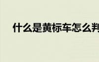 什么是黄标车怎么判定（什么是黄标车）