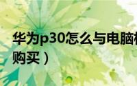 华为p30怎么与电脑相连（华为P30怎么预定购买）