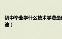 初中毕业学什么技术学费最便宜（初中毕业学什么技术有前途）