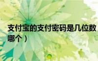 支付宝的支付密码是几位数（支付宝的支付密码是几位数是哪个）