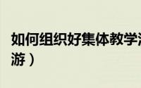 如何组织好集体教学活动（如何组织好集体旅游）