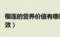 榴莲的营养价值有哪些（榴莲的营养价值与功效）