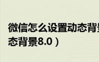 微信怎么设置动态背景教程（微信怎么设置动态背景8.0）