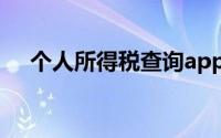 个人所得税查询app（个人所得税查询）