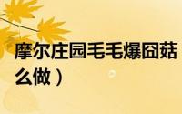 摩尔庄园毛毛爆囧菇（摩尔庄园毛毛爆囧菇怎么做）