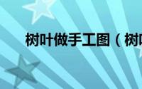 树叶做手工图（树叶做手工图片教程）