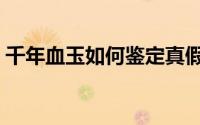 千年血玉如何鉴定真假（千年血玉如何鉴定）