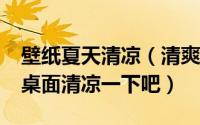 壁纸夏天清凉（清爽电脑设置_夏天来了也让桌面清凉一下吧）