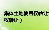 集体土地使用权转让合同范本（集体土地使用权转让）