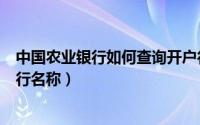 中国农业银行如何查询开户行（中国农业银行如何查询开户行名称）