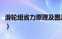 滑轮组省力原理及图片（滑轮组省力原理图解）