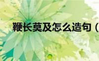 鞭长莫及怎么造句（鞭长莫及怎么解释）