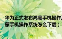华为正式发布鸿蒙手机操作系统怎么更新（华为正式发布鸿蒙手机操作系统怎么下载）