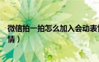 微信拍一拍怎么加入会动表情（微信拍一拍怎么添加动态表情）