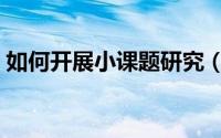 如何开展小课题研究（如何开展小课题研究）