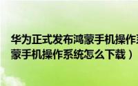 华为正式发布鸿蒙手机操作系统怎么更新（华为正式发布鸿蒙手机操作系统怎么下载）