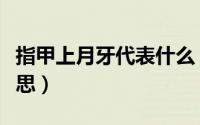 指甲上月牙代表什么（指甲上月牙代表什么意思）
