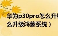 华为p30pro怎么升级鸿蒙（华为p30pro怎么升级鸿蒙系统）