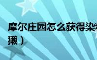 摩尔庄园怎么获得染料（摩尔庄园怎么获得雪獭）