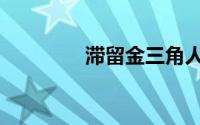 滞留金三角人员（滞留金）