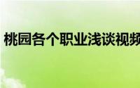 桃园各个职业浅谈视频（桃园各个职业浅谈）