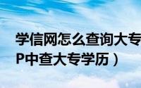 学信网怎么查询大专学历（如何在学信网APP中查大专学历）
