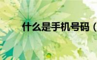 什么是手机号码（什么是手机水货）
