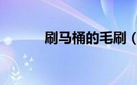 刷马桶的毛刷（刷马桶的窍门）